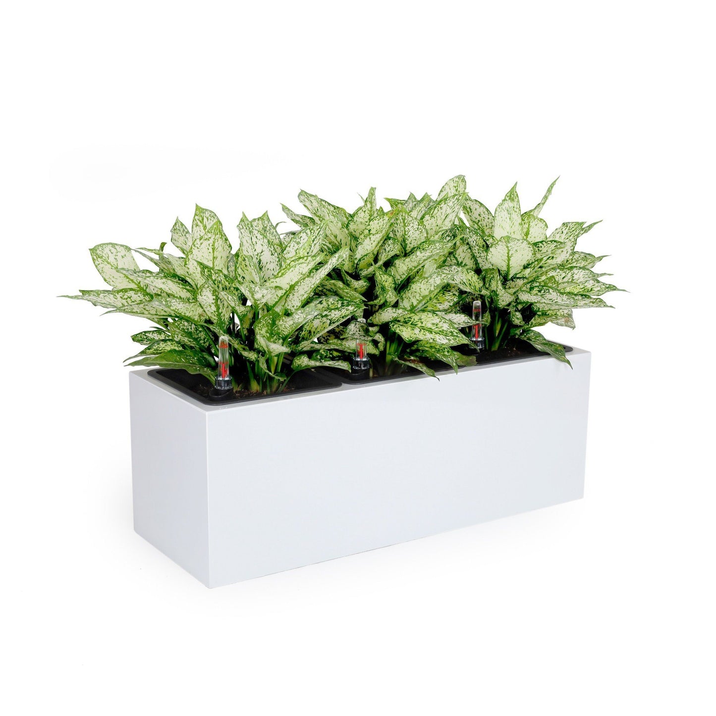3-Liner Self-watering Rectangle Planter Box - White